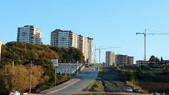 Kent Ormanı Piknik Alanı