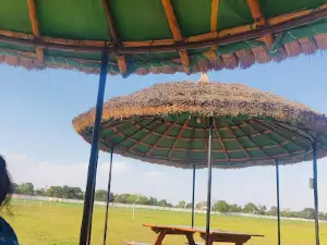 Skyhigh, Skydiving in India
