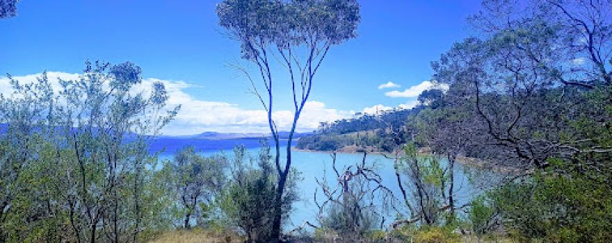 Mortimer Bay Reserve
