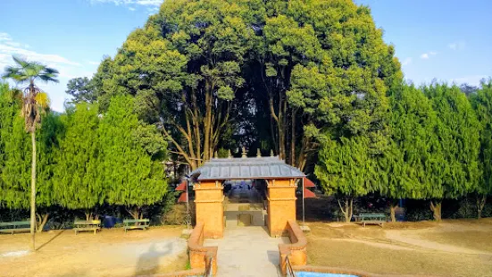 त्रिभुवन पार्क
