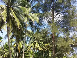 Pantai Lestari