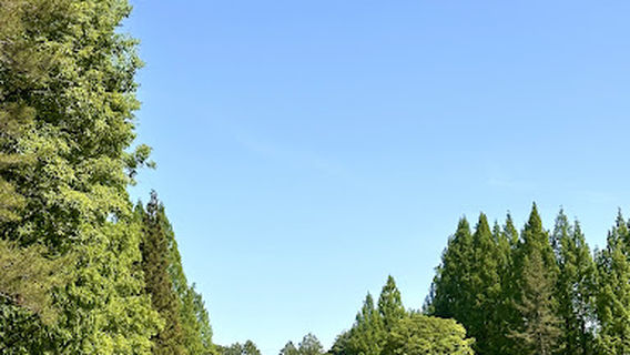 Shougenji Country Club