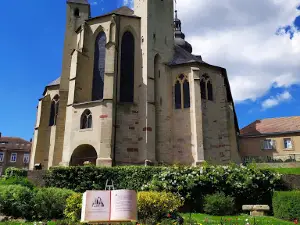Parc de la Nied