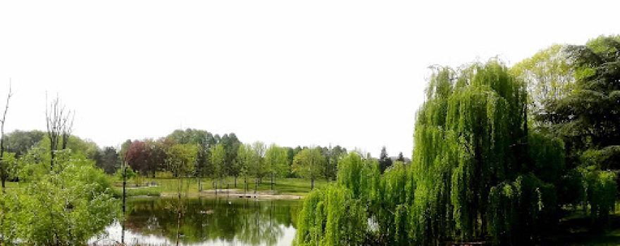 Parco Carrara