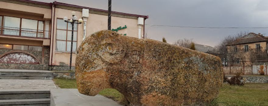 Museum of Dmanisi Center of Culture and Art