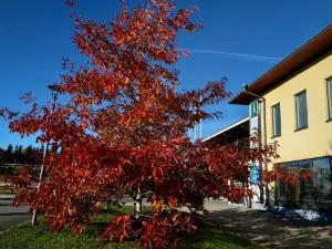 Villa Lande