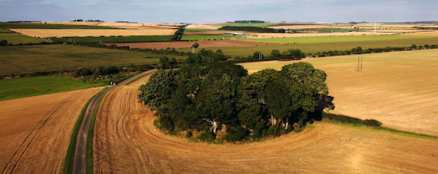 Willy Howe Mound