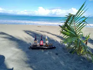 Playa Platanares