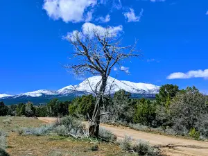 Manti-La Sal National Forest