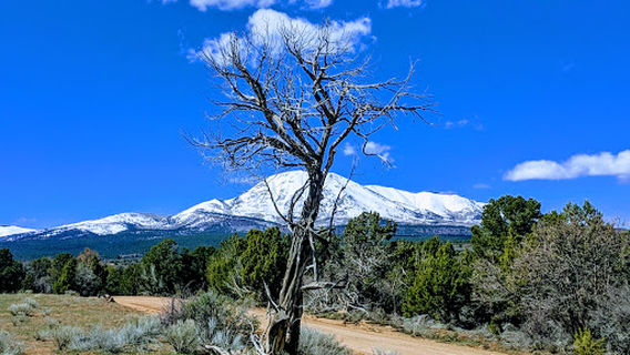 Manti-La Sal National Forest