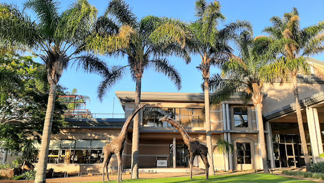 Celebration Ministries International