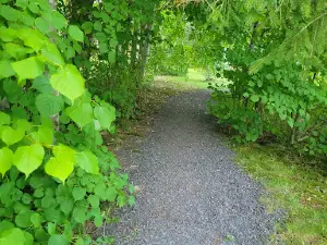 Sir Robert Bond Park