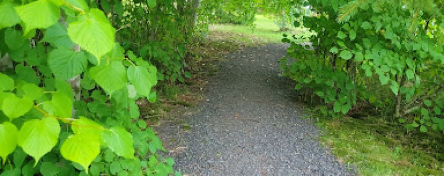 Sir Robert Bond Park