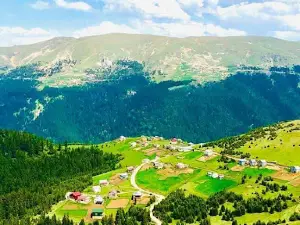 GÜCE AĞAÇBAŞI YAYLASI
