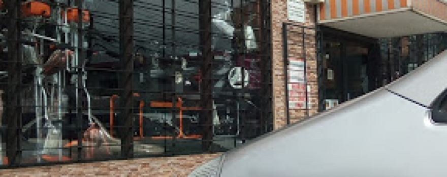 Motee & Son Garden Shop