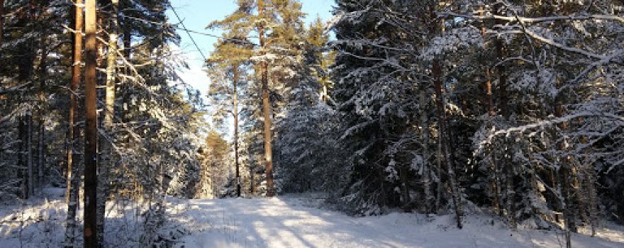 Bålsta FBK