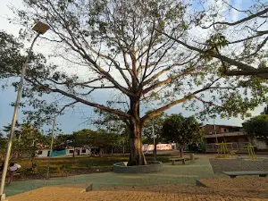 El Trueno Park