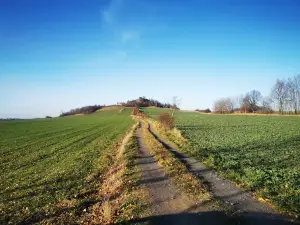 Czartowska Skała