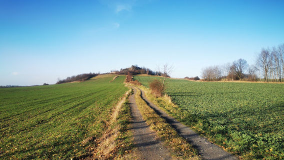 Czartowska Skała