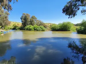 מצד עתרת