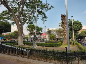 Vikingo Park