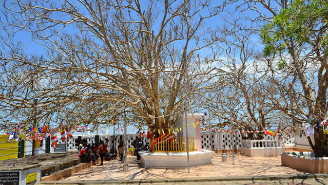 Wadihiti Kanda Parking