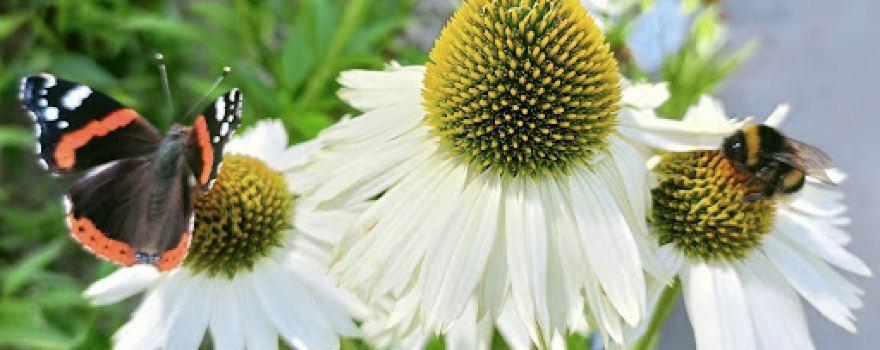 HORTICULTEUR AU FIL DES SAISONS
