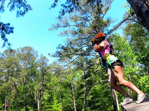 Magnolia Ridge Adventure Park