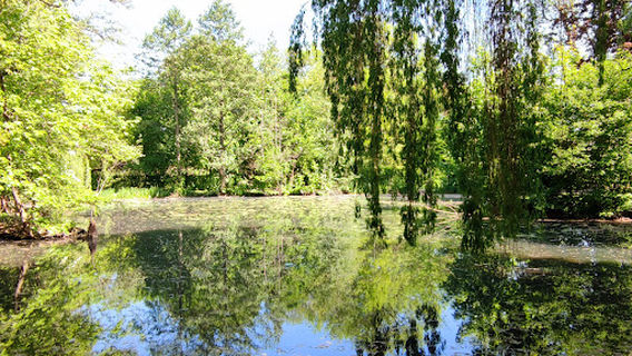 Gottingen