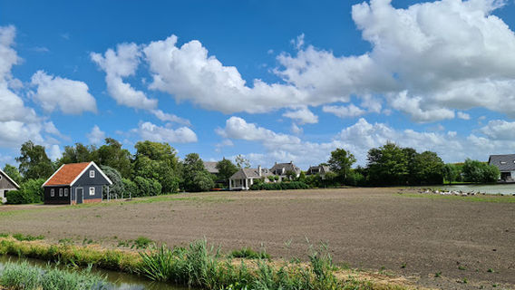 Hoorn