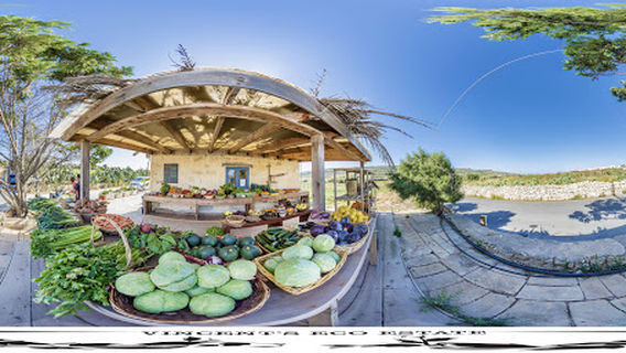 Vincent's Eco Estate