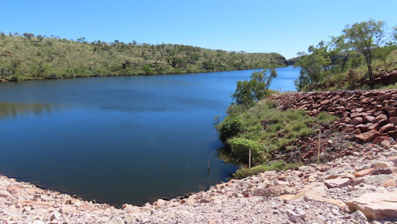 BOAB Prison Tree King River