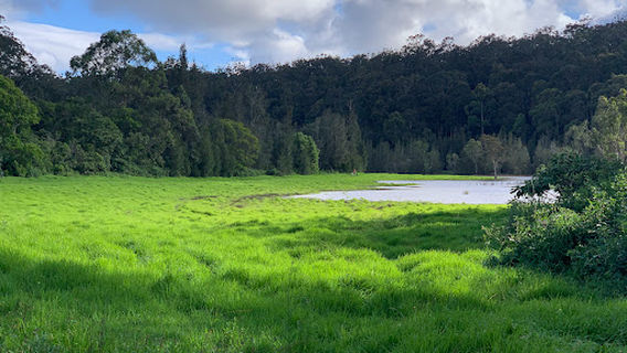 Hanging Rock Lookout