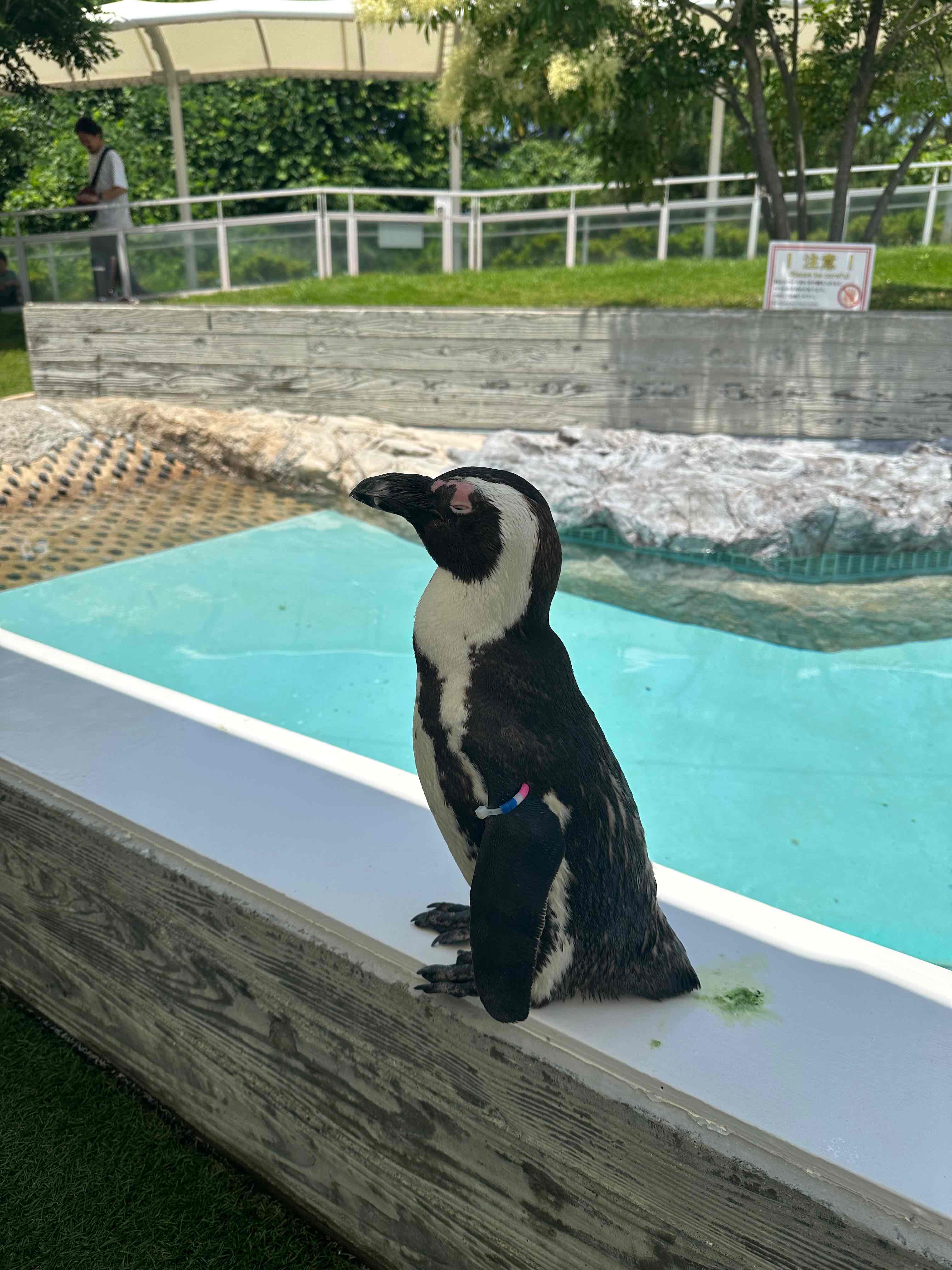 福岡 マリンワールド海の中道 入場Eチケット 予約（即日発券）
