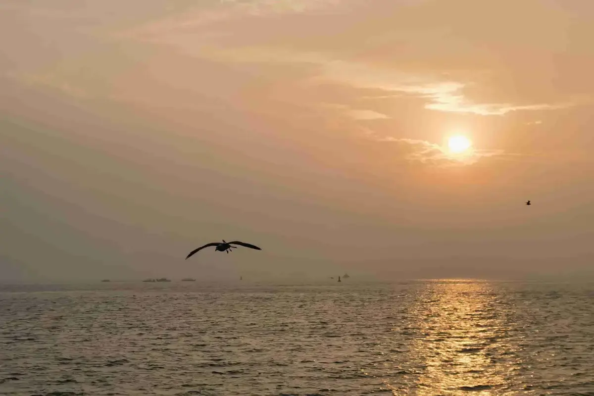 Qingdao