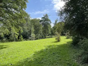 Trout fishing The Hubeau Mill
