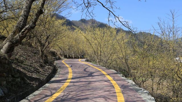 Yellow River Beach Nature Reserve