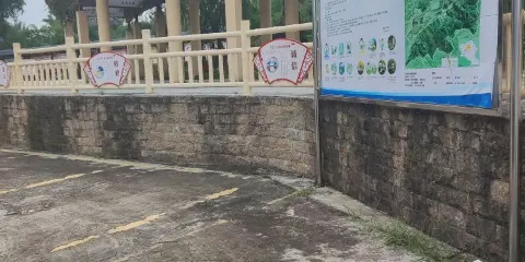 陸河竹林生態旅遊區