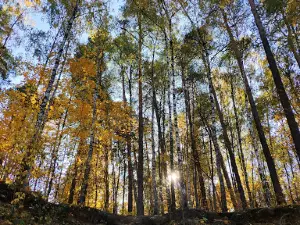 Экопарк Пехорка