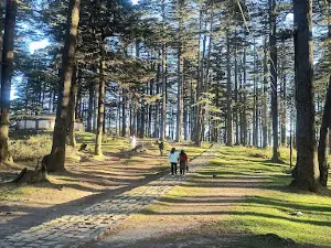 Patni Top Park