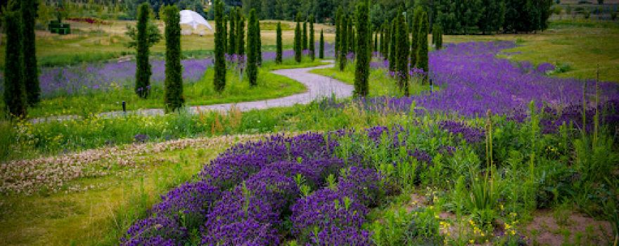 Dobropark