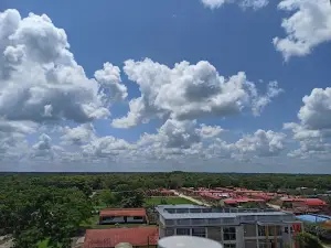 San Luis De Palenque Main Park
