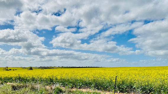 Elephant Hill Lookout