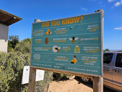 JACK'S Picnic Site