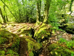 Landes de Locarn