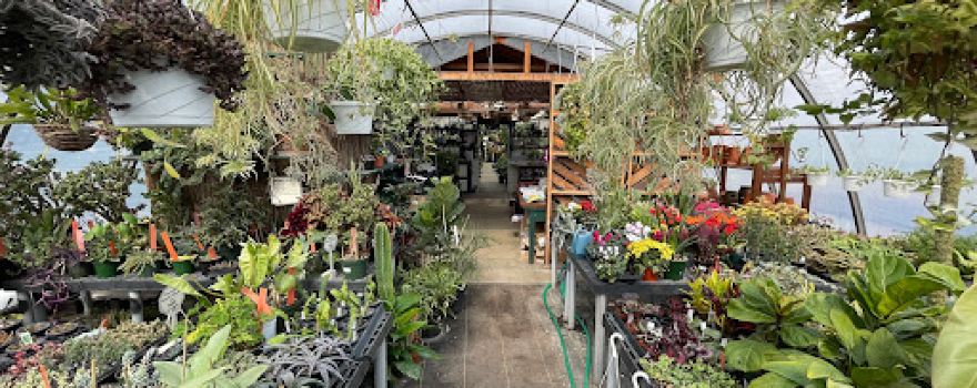 Sabellico Greenhouses & Florist