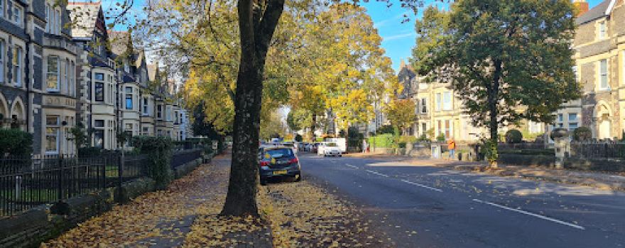 Sophia Gardens