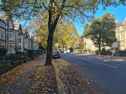 Sophia Gardens