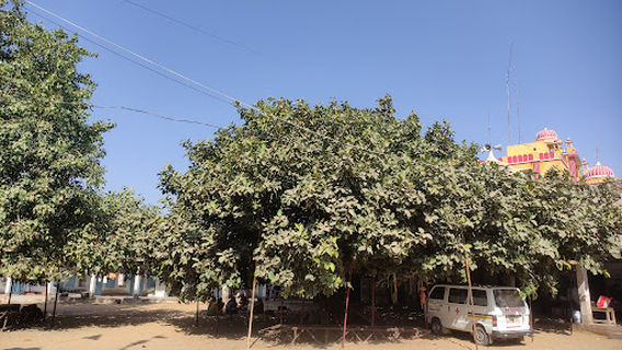 Punrasar Balaji Hanuman Mandir(Manakrasar,Shri Dungargarh)
