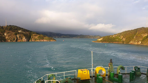 Dunedin